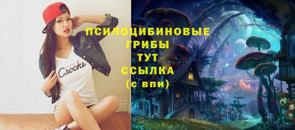 шишки Абинск