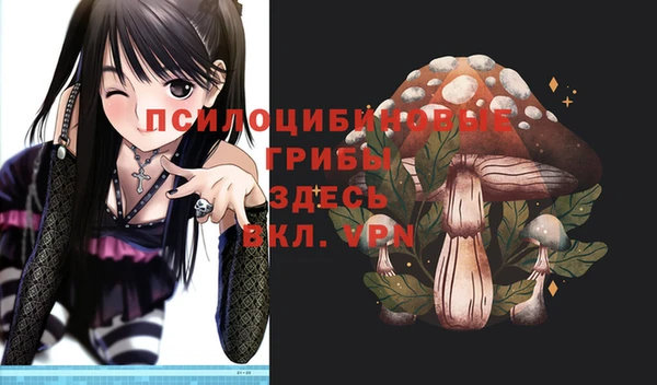 шишки Абинск
