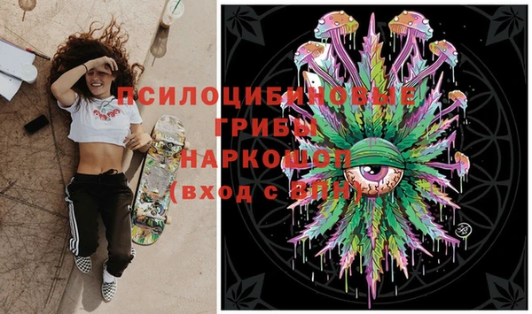 шишки Абинск