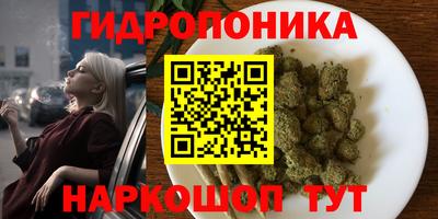 МДПВ Рязань