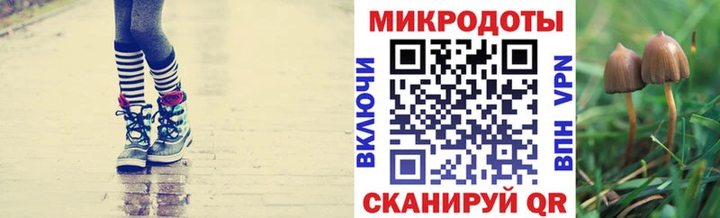shop состав  Челябинск  Галлюциногенные грибы MAGIC MUSHROOMS 