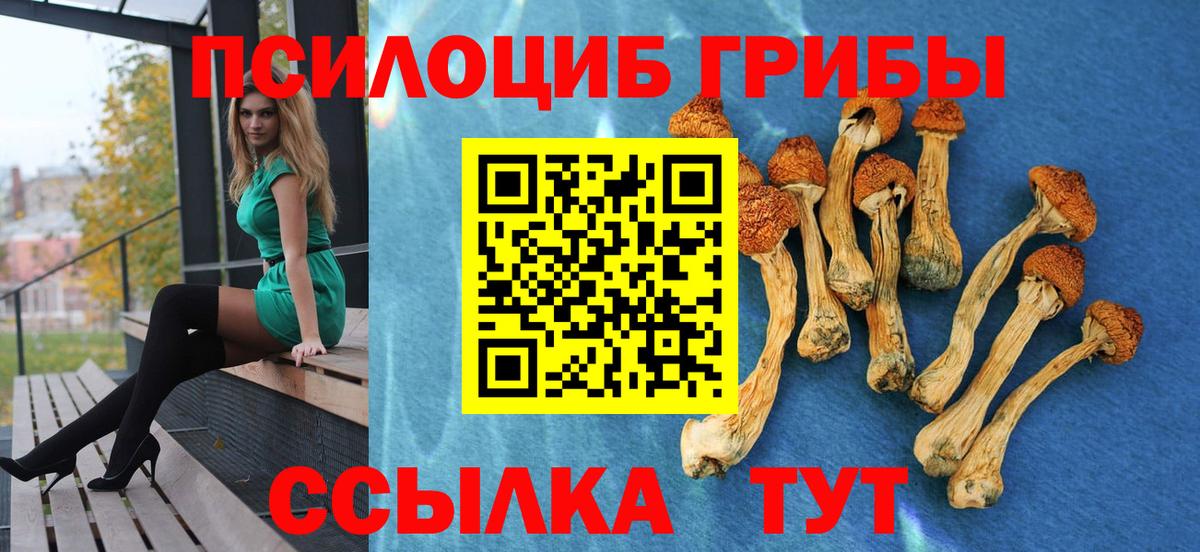 Челябинск  Псилоцибиновые грибы Psilocybe  Вход с VPN 