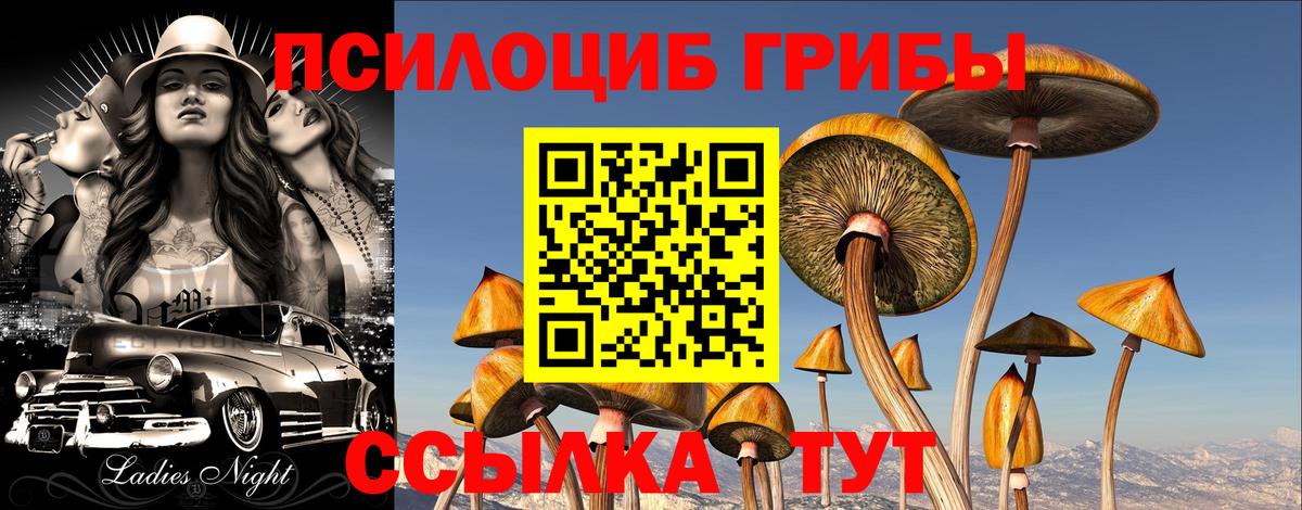 Псилоцибиновые грибы GOLDEN TEACHER Челябинск